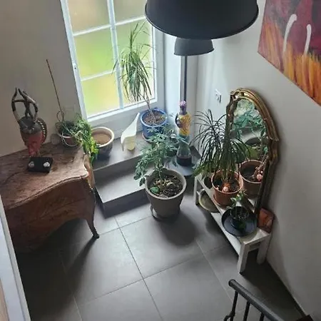 Esprit Loft Appartement Riquewihr Buitenkant foto